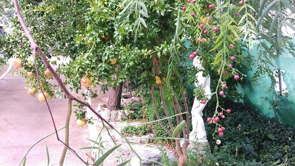Alojamiento Rural La Caseria De Piedra Restaurante ハエン エクステリア 写真