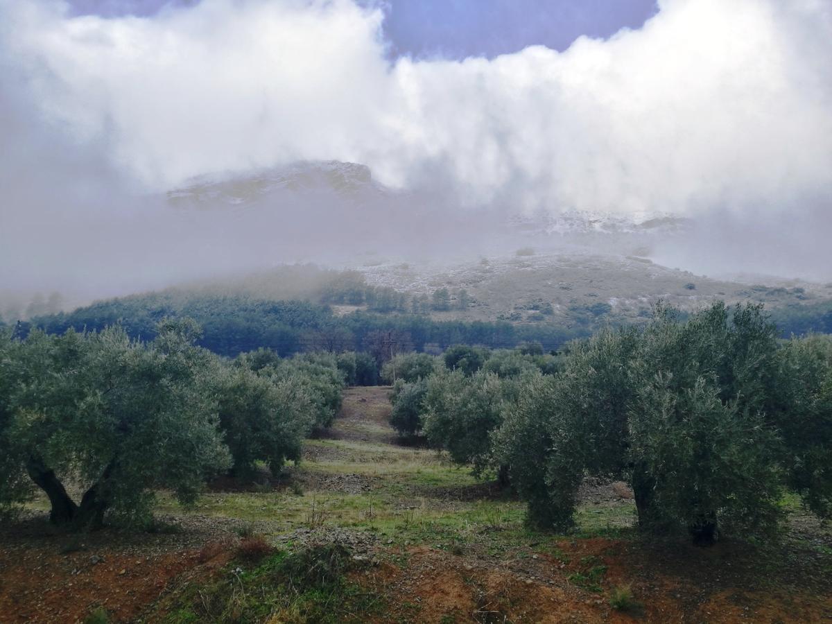 Alojamiento Rural La Caseria De Piedra Restaurante ハエン エクステリア 写真